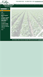Mobile Screenshot of kellysgreenteam.com