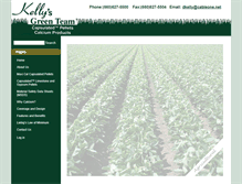 Tablet Screenshot of kellysgreenteam.com